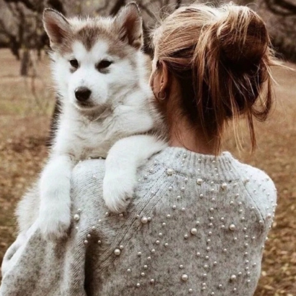 Zara Light Gray Pearl Puff Bubble Sleeve Sweater